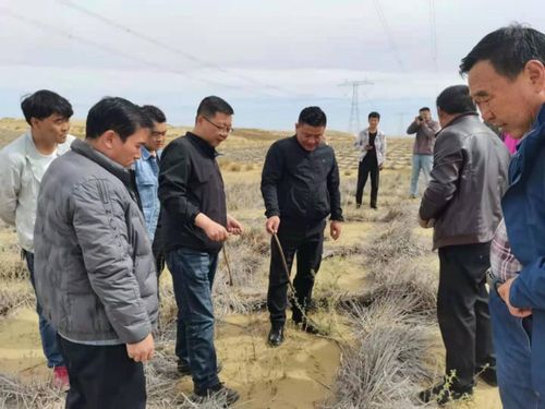 省林草局強化重點生態(tài)工程專項督查，保障建筑工程與生態(tài)保護協(xié)調(diào)發(fā)展